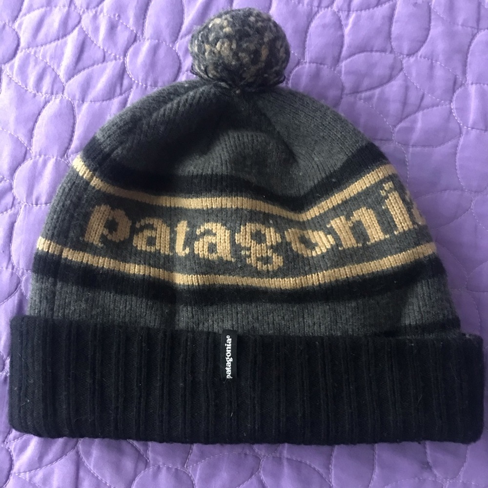 Patagonia winter hat